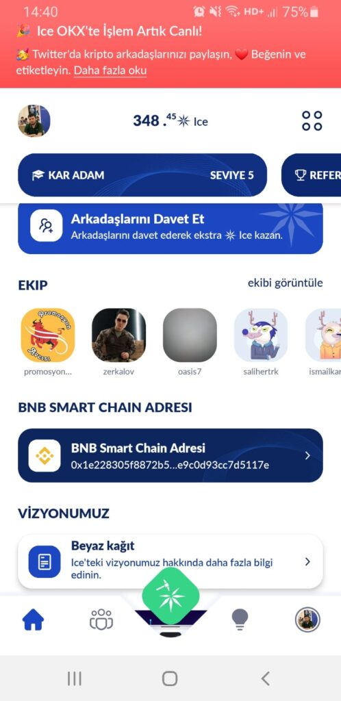 BNB Smart Chain adresinizi bu kısma giriyorsunuz